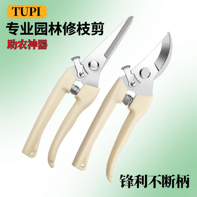 进口园艺剪刀修枝剪果树花剪摘果图片