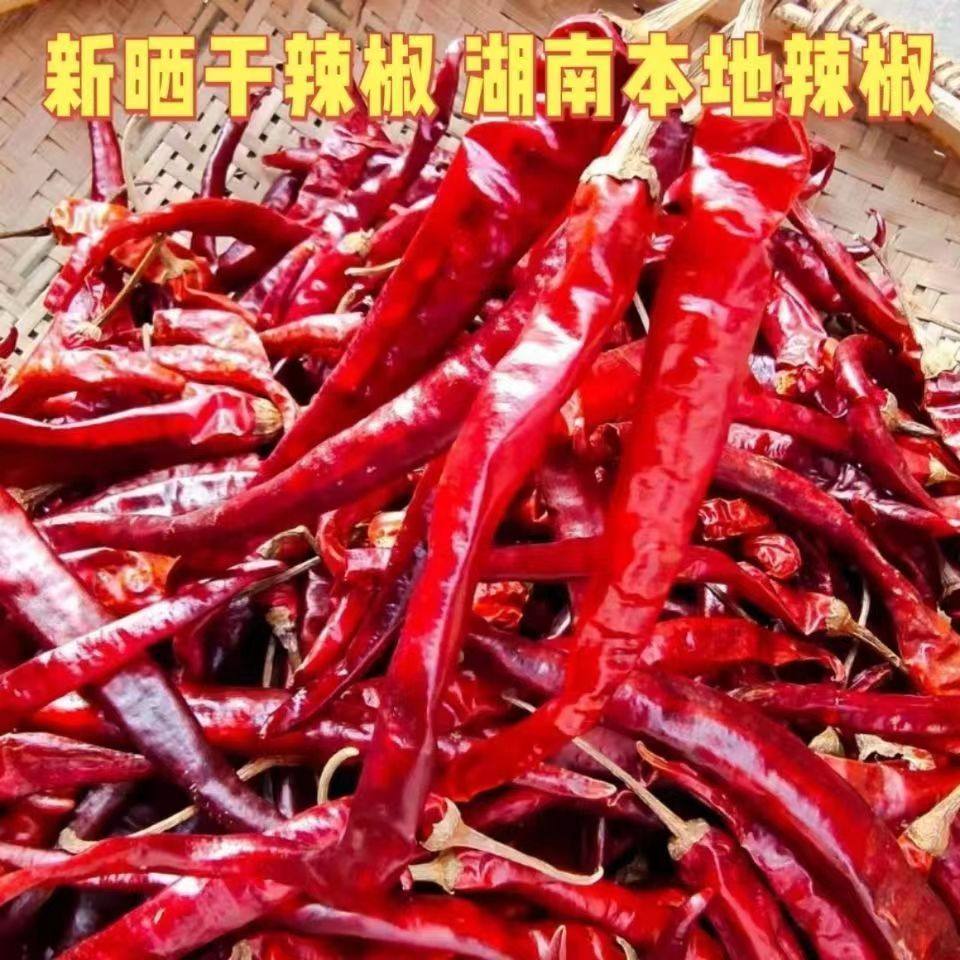 红辣椒湖南二荆条农家农家自种