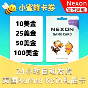 美国Nexon国际服POE/DFO冒险岛Karma Koin点卡KK 流放之路2 美金