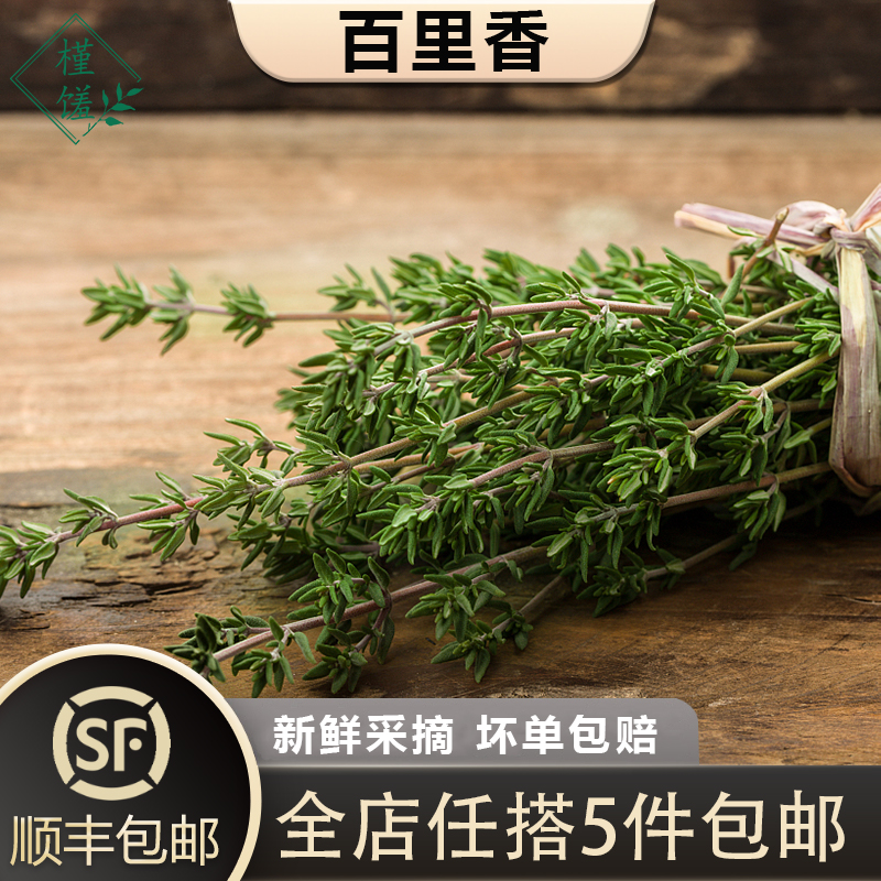新鲜百里香250g香草西餐用