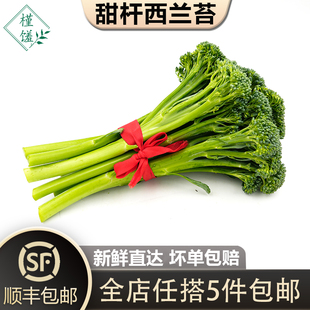新鲜手指西兰花苔芦笋青花苔 宁夏甜杆西兰苔500g 包邮 槿馐