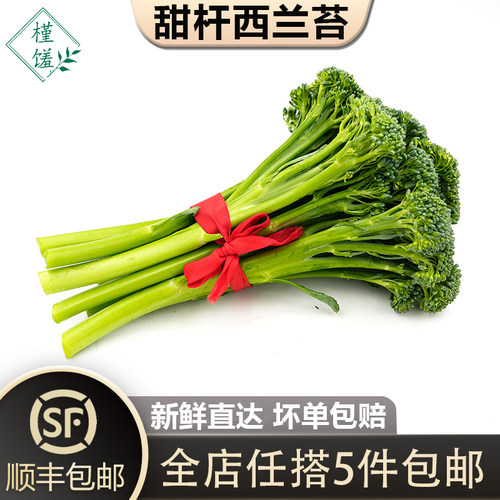 宁夏西兰苔手指甜杆槿馐