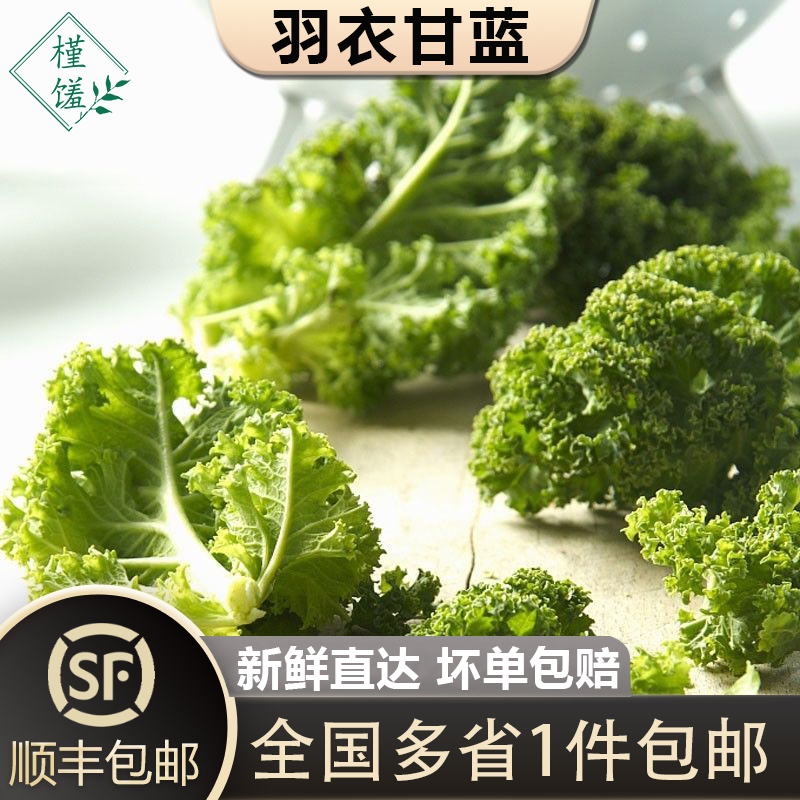 槿馐羽衣甘蓝顺丰包邮
