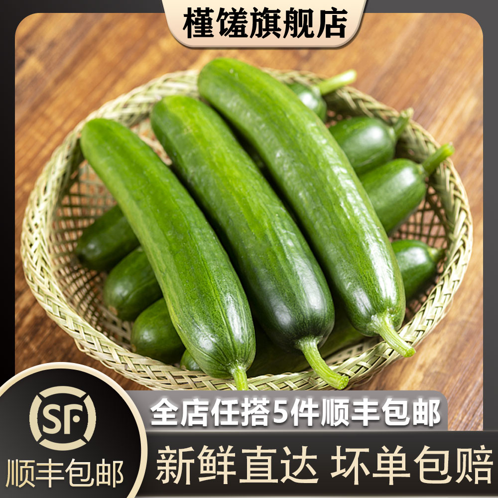 【槿馐】水果黄瓜500g 荷兰小黄瓜无刺短黄瓜新鲜蔬菜沙拉食材 水产肉类/新鲜蔬果/熟食 黄瓜 原图主图