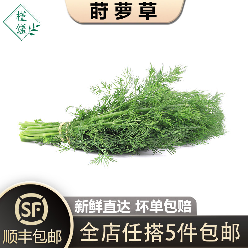 【槿馐】莳萝草250g-500g 新鲜食用泰国香料菜刁草土茴香摆盘装饰