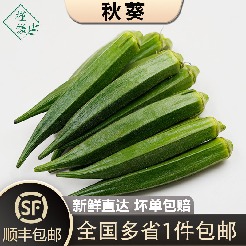 槿馐秋葵500-2500g 新鲜黄秋葵 六角羊角豆洋辣椒顺丰包邮