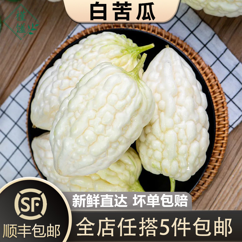 山东白玉苦瓜 新鲜苹果苦瓜现摘农家自种 生吃即食 凉拌榨汁顺丰