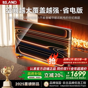 欧式取暖器2025新款全屋大面积家