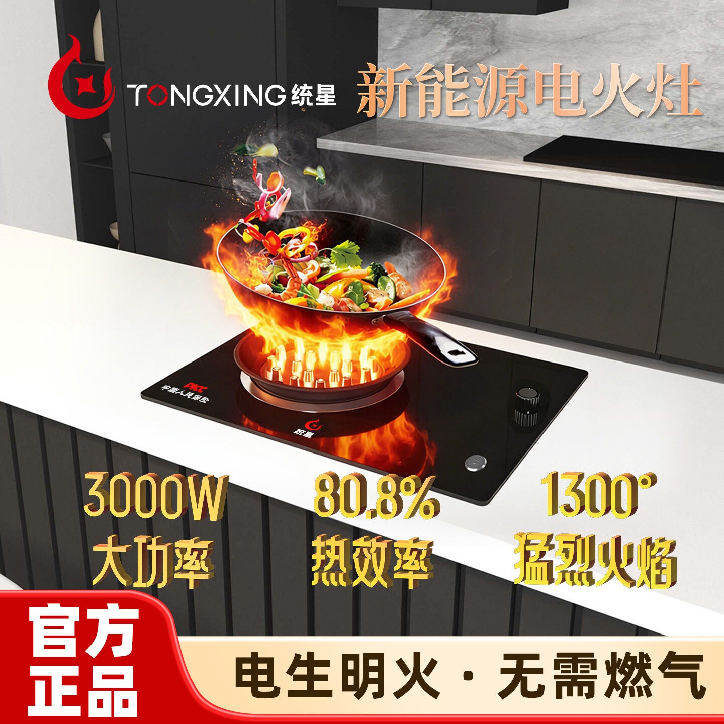 统星电火电焰电燃灶电生明火电陶
