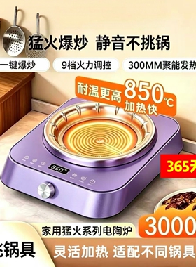 2026年新款3000w多功能电火灶烹