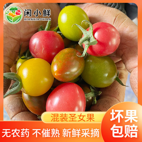 闲小鲜四色圣女果现摘现发