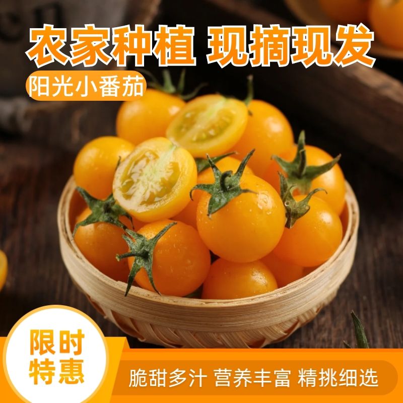 夏日阳光小番茄圣女果黄金小番茄新鲜现摘当季水果黄姑娘糖心柿子