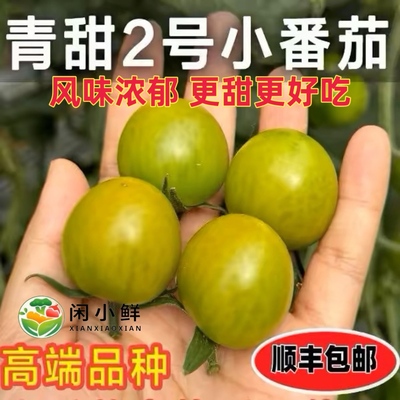 正宗清甜2号小番茄绿圣女果脆甜多汁新鲜青霞小番茄非青口蜜水果