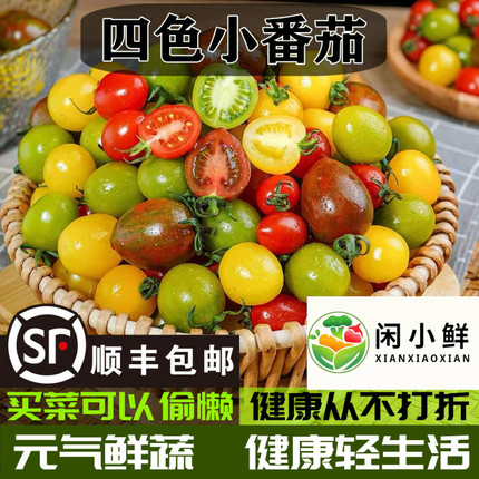 【京东顺丰】三色混装小番茄青口蜜夏日阳光迷彩鲜贝圣女果小柿子