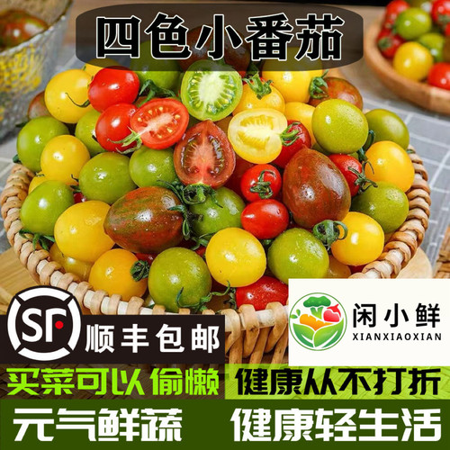 【京东顺丰】三色混装小番茄青口蜜夏日阳光迷彩鲜贝圣女果小柿子