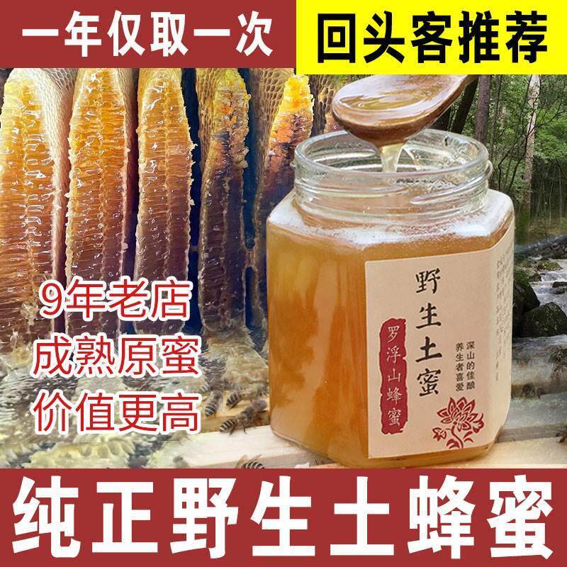 热销野生土蜂蜜纯正天然农家自产正宗孕妇冬蜜广东500g荔枝龙眼百