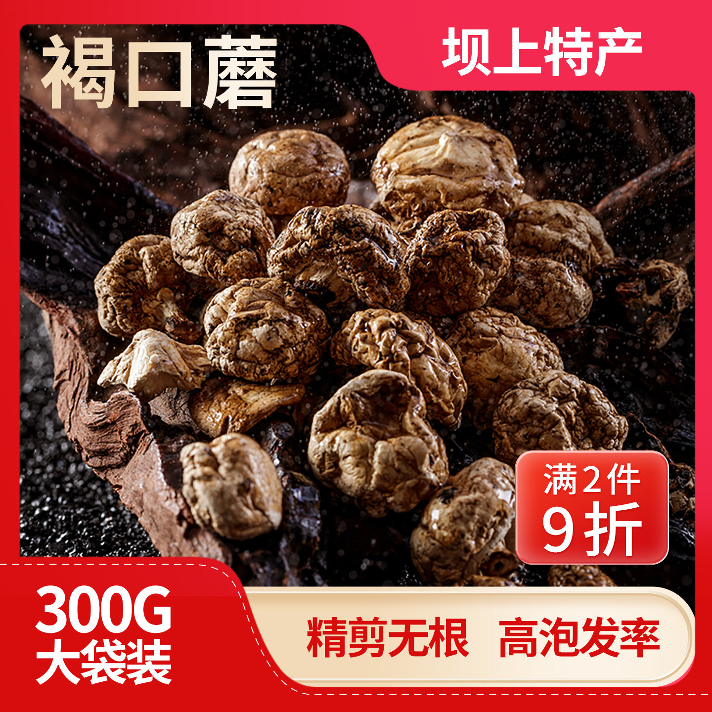 张家口坝上特产褐口蘑食用菌褐蘑菇香菇干货炖肉炖汤营养食材300g