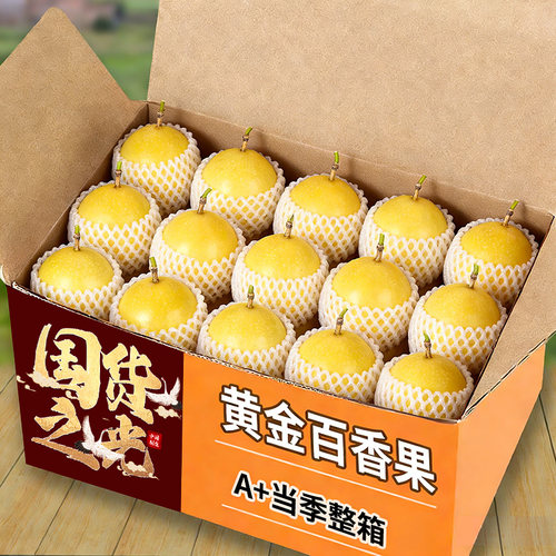 黄金百香果钦蜜9号新鲜水果