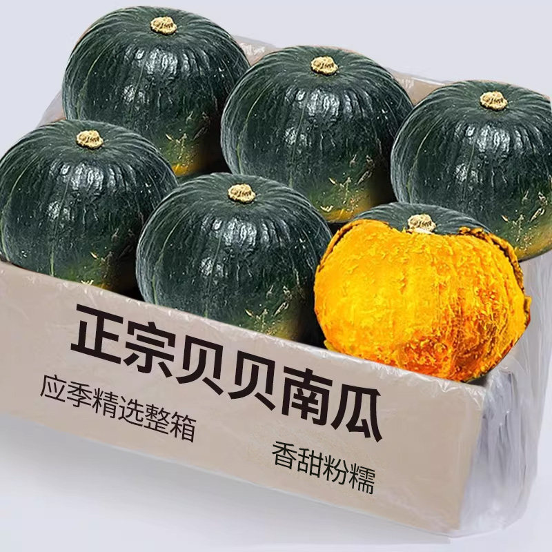 贝贝小南瓜5斤(6-10个)甜粉面