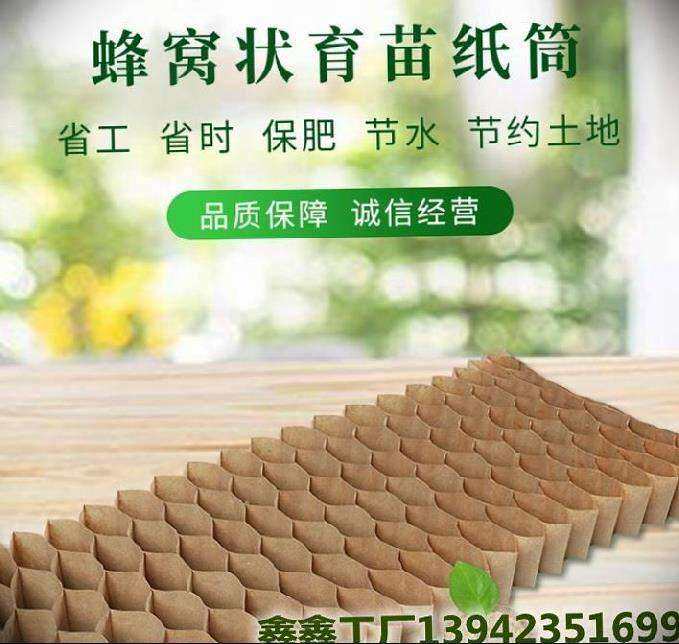 育苗神器育苗纸钵蜂窝状育苗纸筒育苗纸册蔬菜纸筒育苗杯
