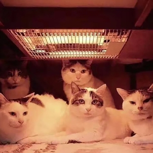 日本森田日式调温家用可配套餐厅室配套桌装单人取暖器桌面电器和