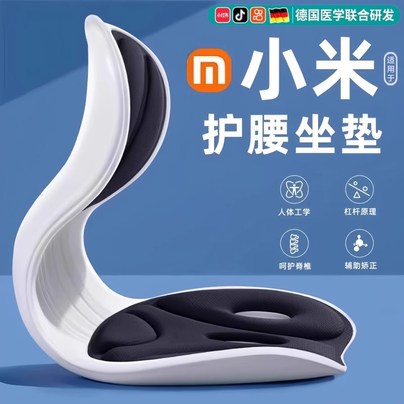 德国护腰坐垫人体工学坐姿椅座椅脊椎腰托靠垫一体办公室久坐神器
