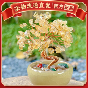 杭州灵蒸蒸日上小才迷的爱黄水水隐富桂树桌面才才摆件多宝摆寺件