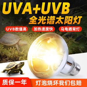 uva+uvb全光谱乌龟晒背灯