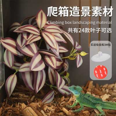 高仿真爬箱造景素材仿真绿植藤蔓叶假植雨林饲养箱造景装饰带吸盘