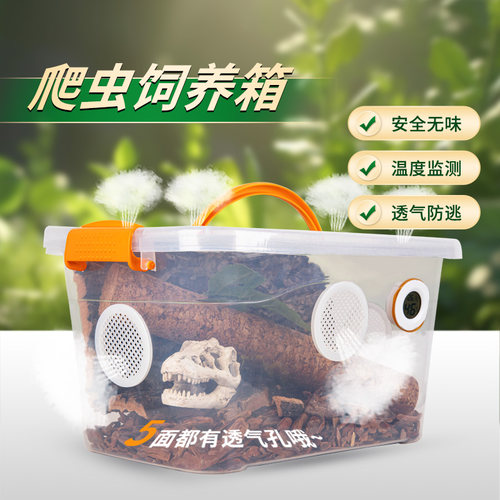 透气爬宠箱防逃逸R属豹纹睫角巨人守宫蜘蛛角蛙爬虫饲养盒乌龟缸
