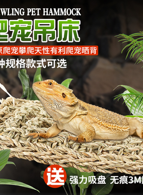 爬宠吊床守宫玩具躲避窝鬃狮蜥造景蜥蜴小窝晒网爬虫树蛙攀爬藤条