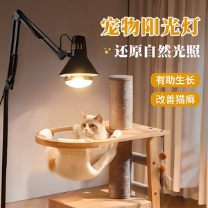 reptishow全光谱太阳灯取暖补钙