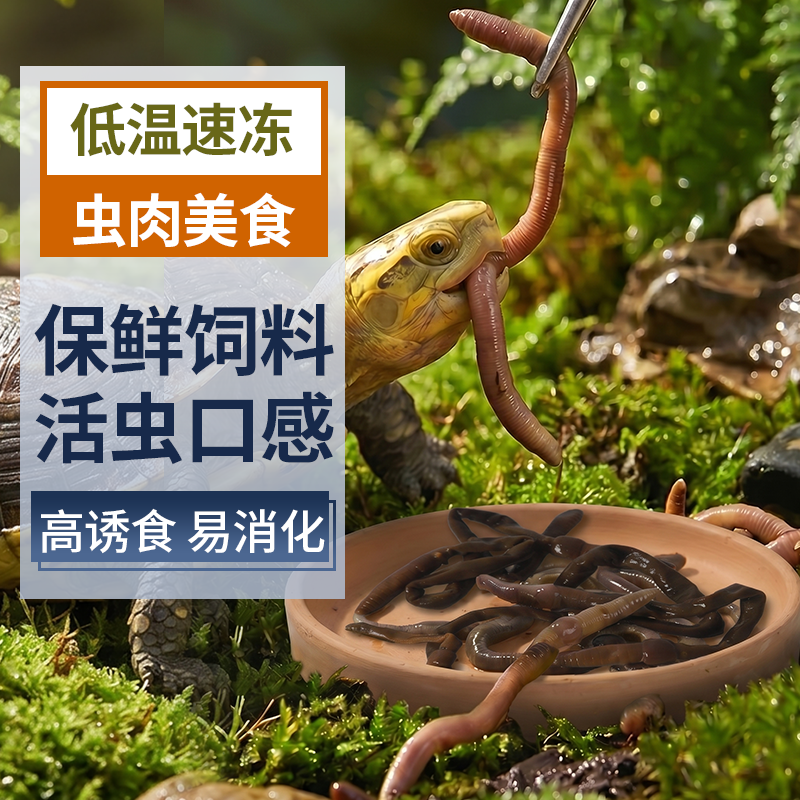 乌龟粮蚯蚓蟋蟀批发宠物旗舰店爬宠用品高蛋白虫子保鲜虫冻干饲料