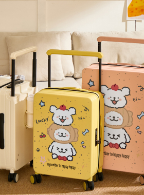 DHJ新款卡通宽拉杆行李箱女20/24寸登机箱密码箱高颜值旅行箱学生