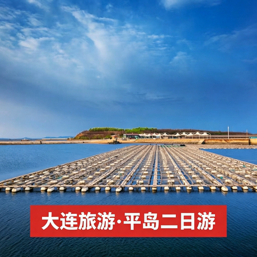 性价比超高 宽敞明亮海景大床房 远离城市喧嚣，体现出轻松、惬意、慢节奏的休闲方式与理念 企事业单位出行、企业团建、好友出行优选线路 乘车直接上岛，无需乘船，无需担心天气原因而导致计划延误