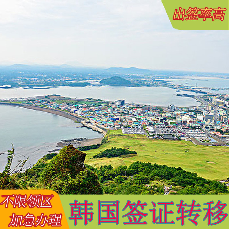 专业代做服务 品质保证