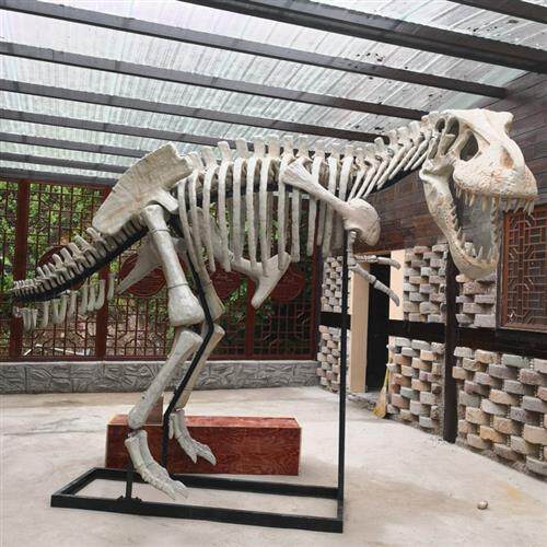 大型仿真玻璃钢化石骨头恐龙骨架树脂雕塑骨骼模型博物馆展品厂家