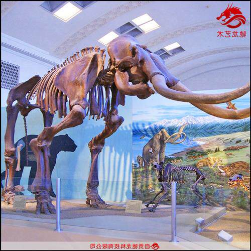 猛犸象仿真骨架化石标本古生物骨头科普模型定制博物馆展品定制