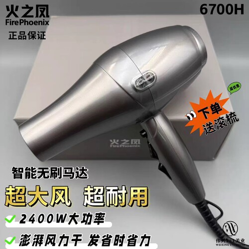 火之凤吹风机6600无刷发廊专用大