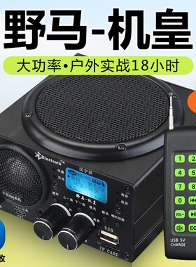 新款野马扩音器小钢炮机皇版双喇