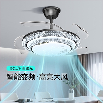 2025年新款吊扇灯隐形一体带灯电