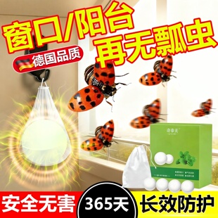 花大姐驱赶专用七星瓢虫杀虫剂防灭去瓢虫药除虫神器克星驱虫室内