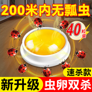 花大姐杀虫剂七星瓢虫专用药灭杀花大姐药神器室内外驱赶诱捕饵剂