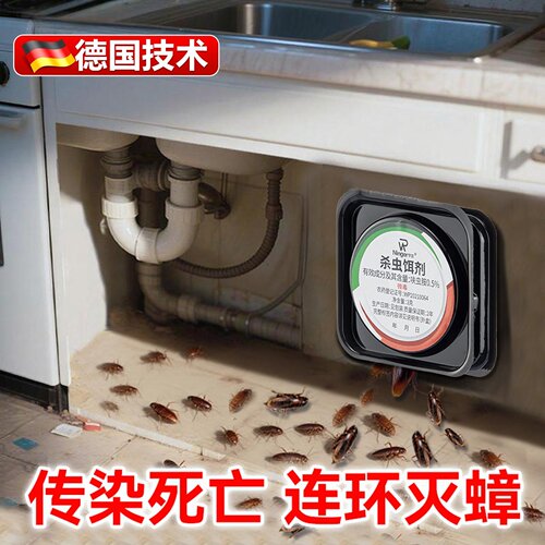 蟑螂药贴墙家用非无毒下水道全窝正品第强效端一名虫卵双杀蟑胶饵