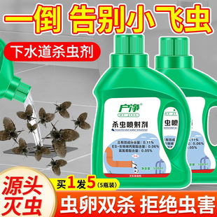 下水道小飞虫灭杀神器厕所卫生间室内去除蛾蚋杀虫剂管道除虫专用