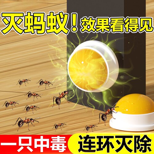 蚂蚁药家用室内外全窝灭除杀大小蚁饵剂第吡虫啉专用一名杀虫剂端