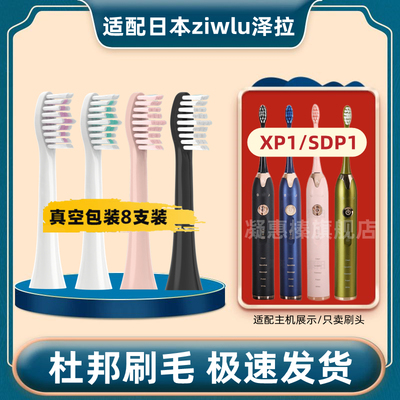 适用ZIWLU泽拉lSP1/FSP2/ZLP1/A156/H2/YA电动牙刷头X9/X901/P101