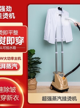 超大蒸汽挂烫机熨衣服大功率服装斗家用双杆熨烫机店商用立式电熨