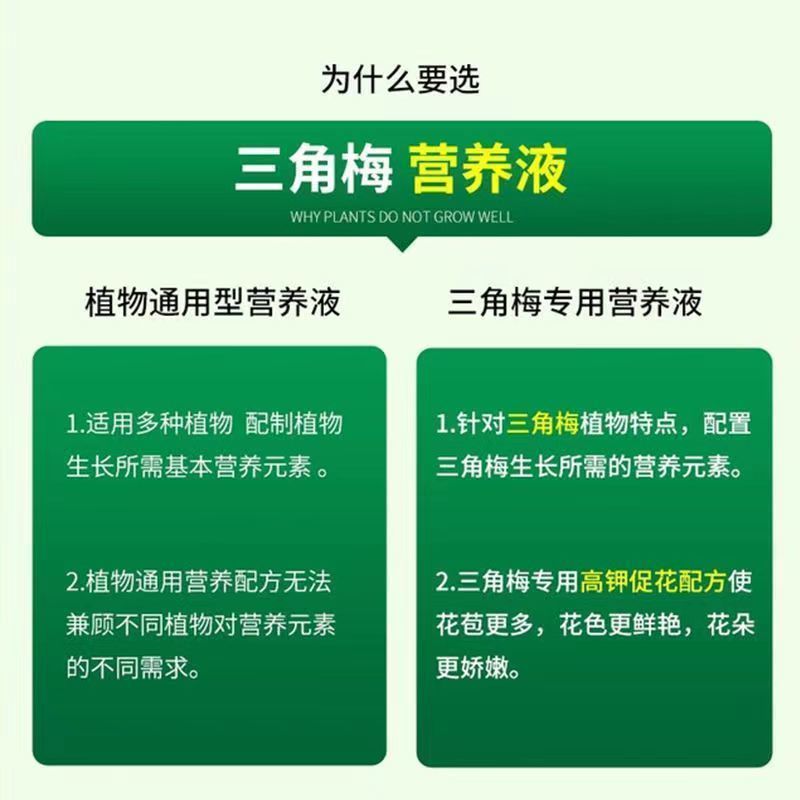 三角梅开花专用肥料家用盆栽花肥四季开花促花绿叶营养液免稀释
