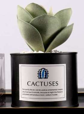 样板房卫生间浴室柜摆件洗手台套装陶瓷托盘香薰饰品意式轻奢软装